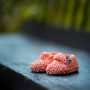 Must-Have Baby Accessories Every New Parent Should Know About