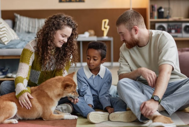 What to Expect After Child Adoption