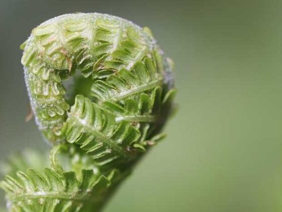 Top Pregnancy Tips Every Mama-to-Be Should Know!