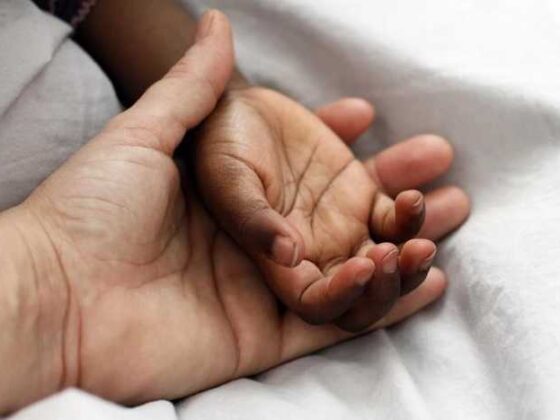 Top Tips You Need Before Adopting a Pet or Child!