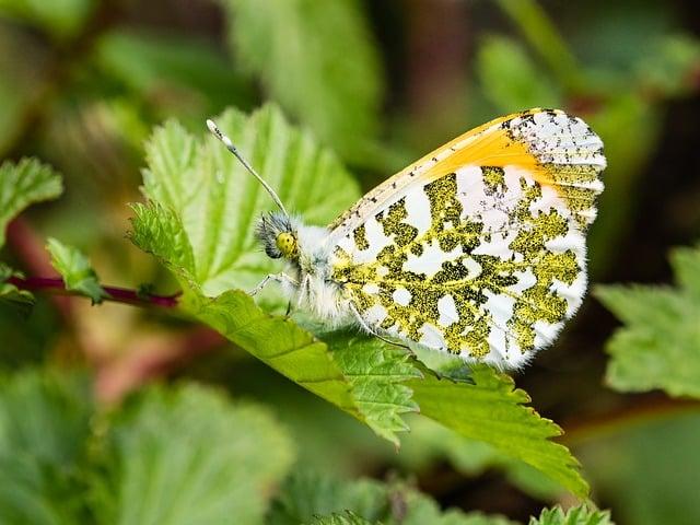 Simple Tips to stay Motivated and Consistent