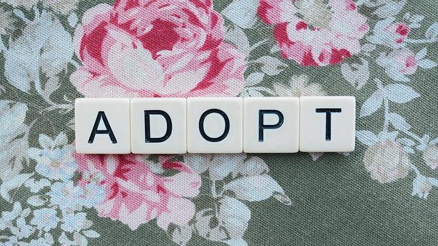 Choosing the Right Type of Adoption That Fits your Family's Vibe