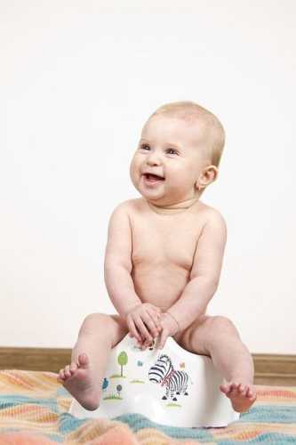 Baby Training 101: Fun Tips to Raise a Happy Little One