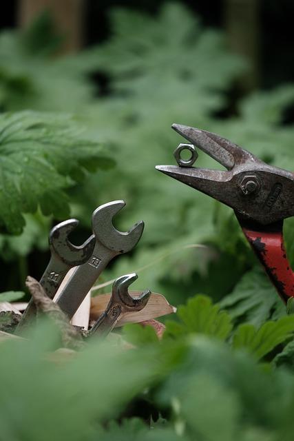 Smart Feeding Tools That Make Mealtime a Breeze