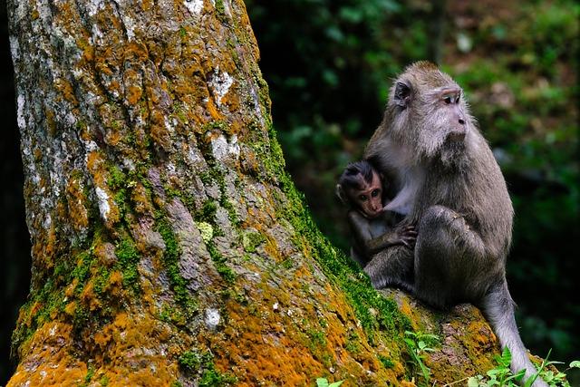 Nailing the Art of Baby Feeding and Staying Sane