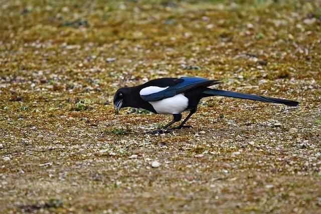 Smart Feeding Tools That Take the Stress Out of Mealtime