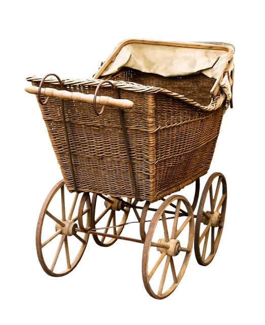 Strollers That Shine On adventures and Everyday Walks