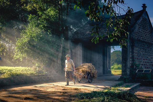 Creating Morning Routines that Actually Work for Everyone