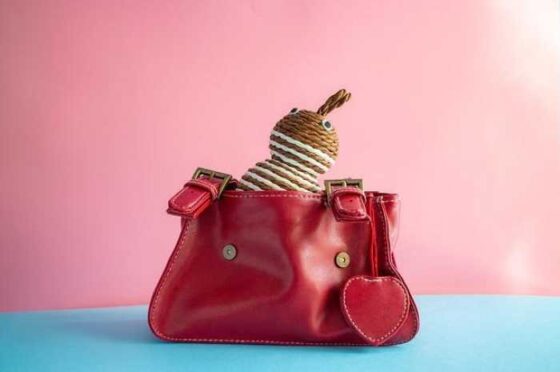 The Cutest Baby Accessories Every Parent Needs Now!