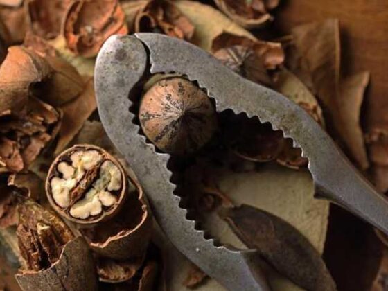 Top Baby Tips Every New Parent Should Know Right Now