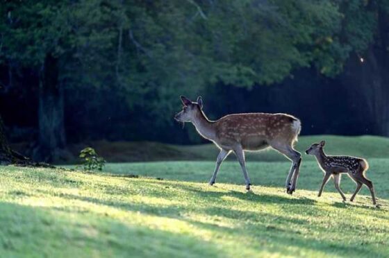 Newbie Parents’ Guide: Easy Baby Health Tips You’ll Love!