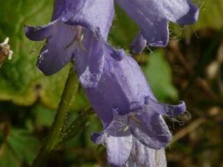 Top Mom Tips Every Busy Mama Needs to Know Today!