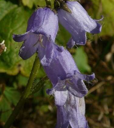 Top Mom Tips Every Busy Mama Needs to Know Today!