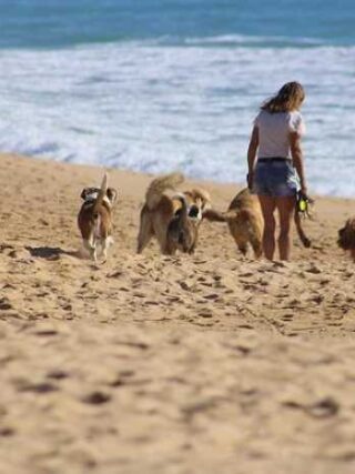 Top Tips and Real Talk: Your Easy Guide to Adoption Advice