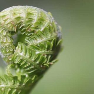 Baby Training Tips: Making Learning Fun and Easy at Home