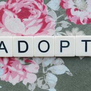 Top Tips and Real Talk: Your Adoption Advice Guide