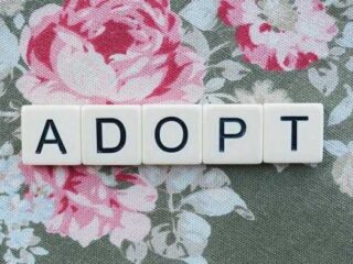 Top Adoption Tips: What Every Future Parent Should Know