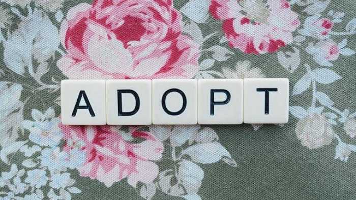 Top Adoption Tips: What Every Future Parent Should Know