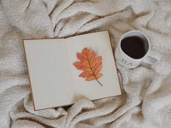 Top Baby Amazon Accessories You’ll Actually Love!