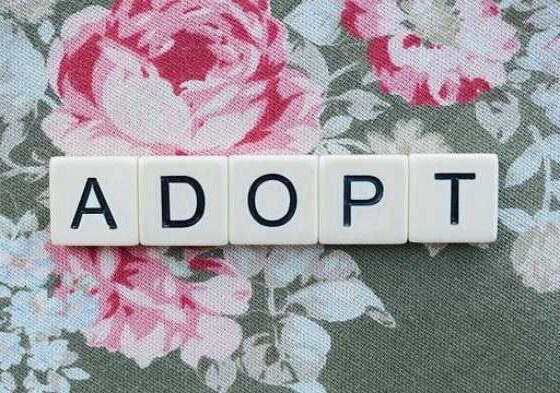 Adoption for Newbies: Your Easy Starter Guide to Begin