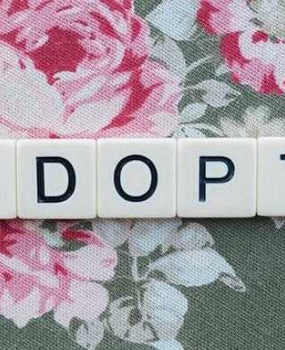 Adoption 101: A Friendly Guide for Total Newbies