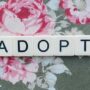 Adoption 101: A Friendly Guide for Total Newbies