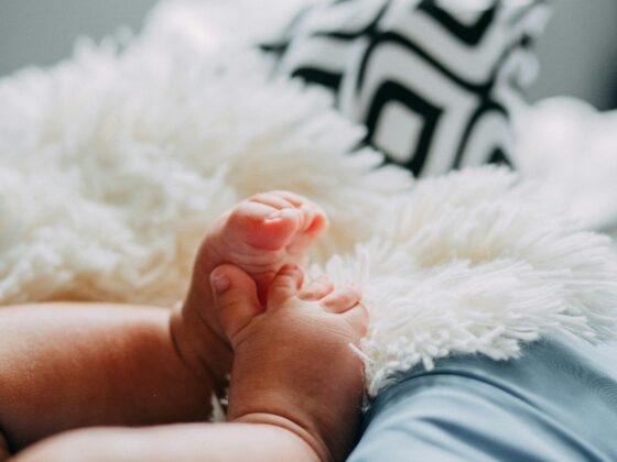 Baby Training 101: Fun Tips to Help Your Little One Learn